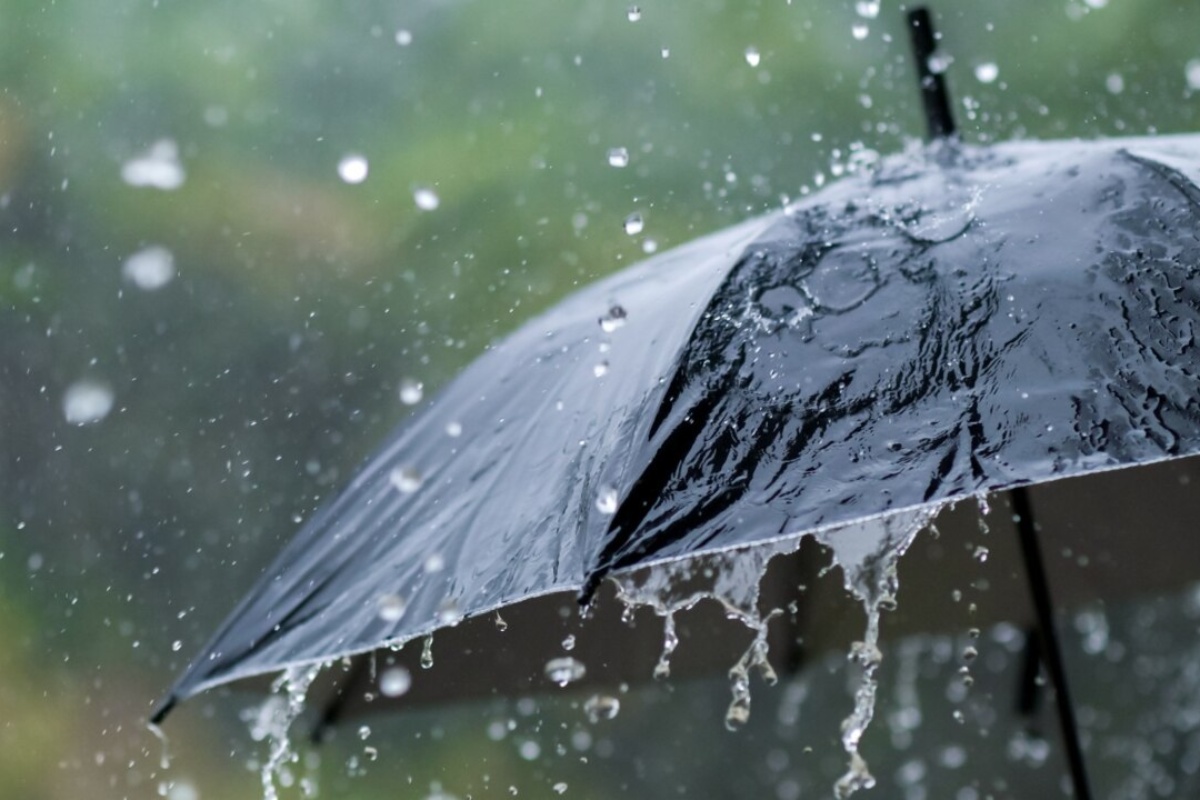 ഇടുക്കി,പത്തനംതിട്ട ജില്ലകളിൽ മഞ്ഞ അലർട്ട് 